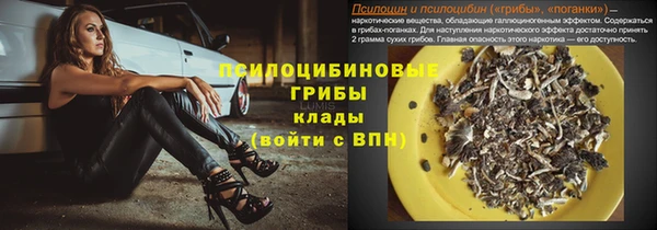 эйфоретик Арсеньев