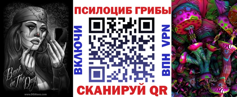 даркнет Telegram  Новоалтайск  Галлюциногенные грибы мицелий 