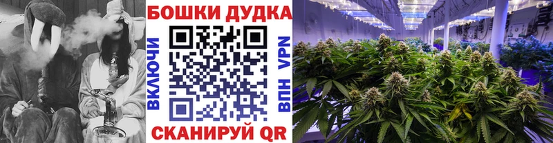 Конопля Ganja  Новоалтайск 